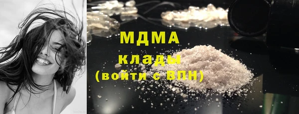 стаф Алзамай