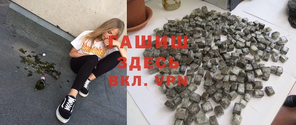 стаф Алзамай