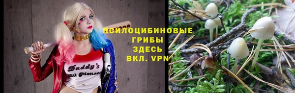 стаф Алзамай
