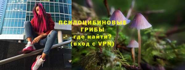 таблы Алексеевка